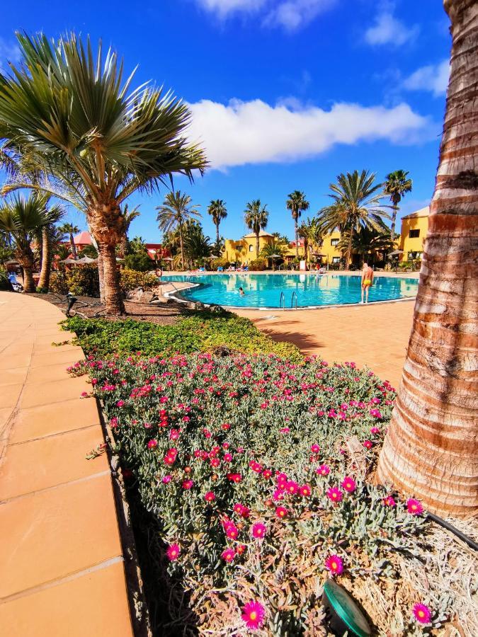 Appartamento Spagnolo Oasis Tamarindo Corralejo Zewnętrze zdjęcie