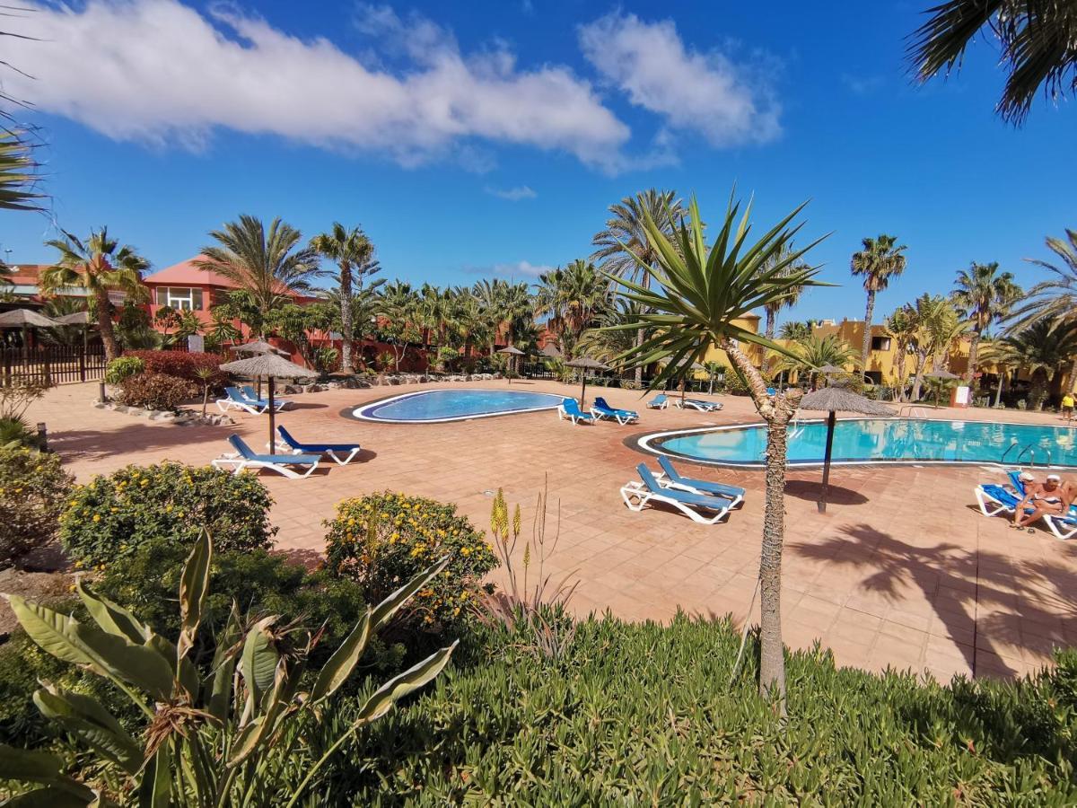 Appartamento Spagnolo Oasis Tamarindo Corralejo Zewnętrze zdjęcie
