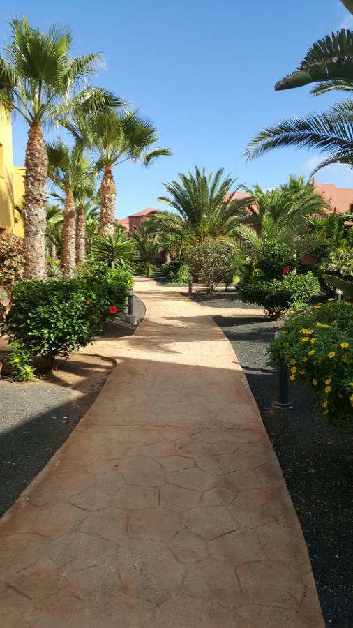 Appartamento Spagnolo Oasis Tamarindo Corralejo Zewnętrze zdjęcie
