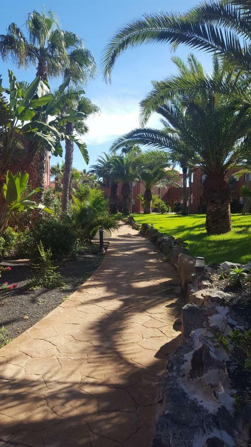 Appartamento Spagnolo Oasis Tamarindo Corralejo Zewnętrze zdjęcie
