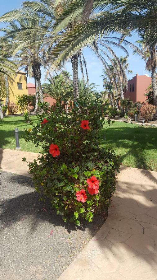 Appartamento Spagnolo Oasis Tamarindo Corralejo Zewnętrze zdjęcie